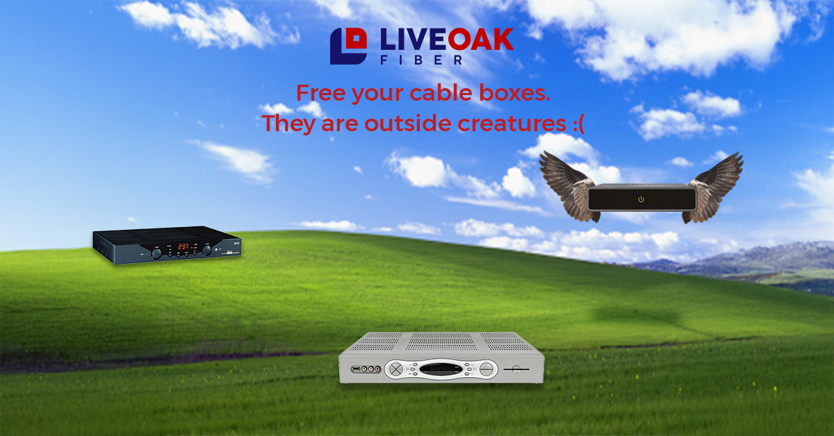 LiveOak Fiber creative: Free your cable boxes