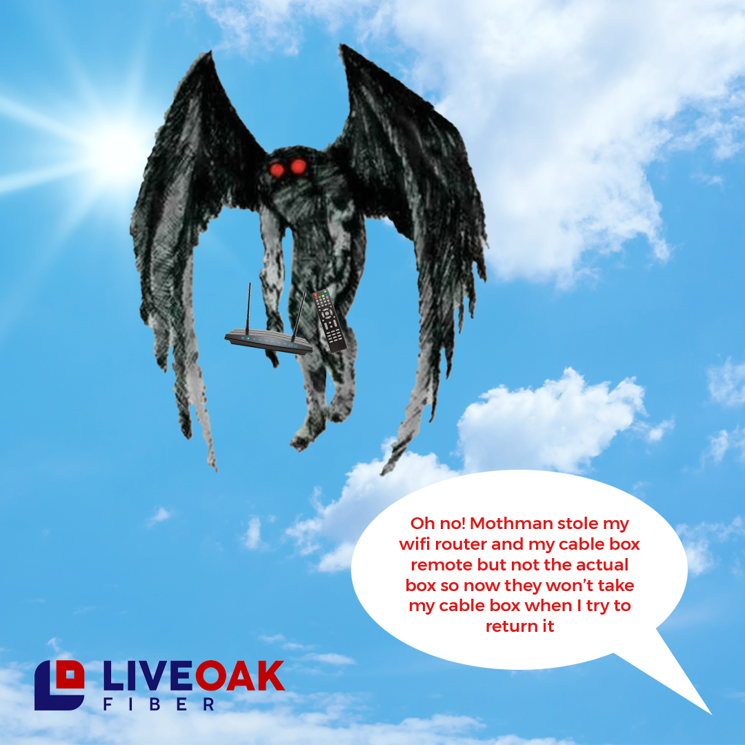 LiveOak Fiber creative: Mothman stole my wifi router