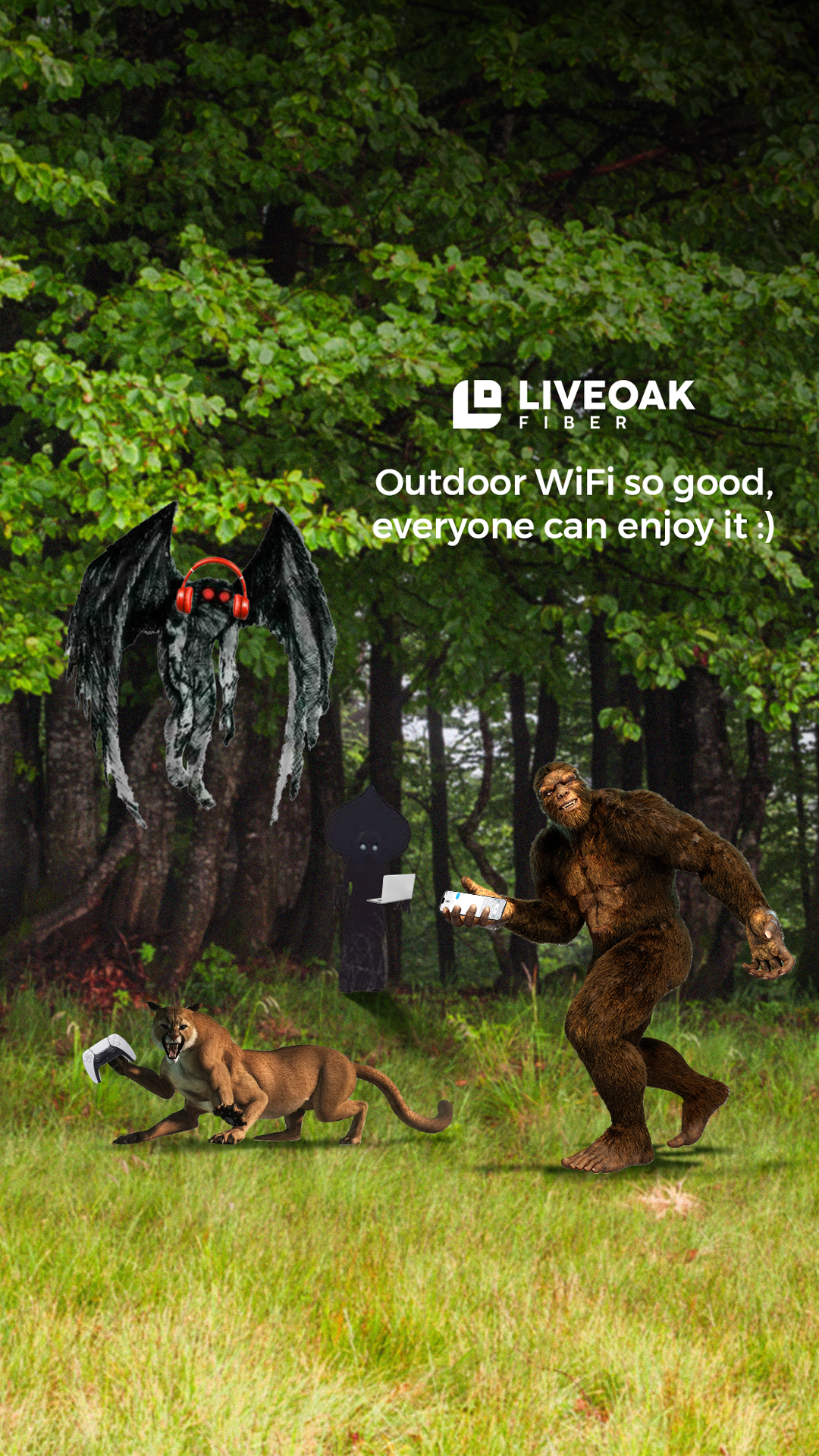 LiveOak Fiber creative: Outdoor WiFi so good, everyone can enjoy it (story)