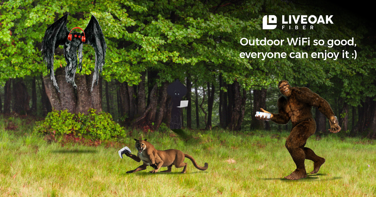 LiveOak Fiber creative: Outdoor WiFi so good, everyone can enjoy it
