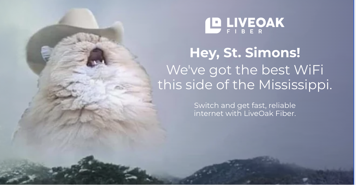LiveOak Fiber creative: Yelling cat social ad