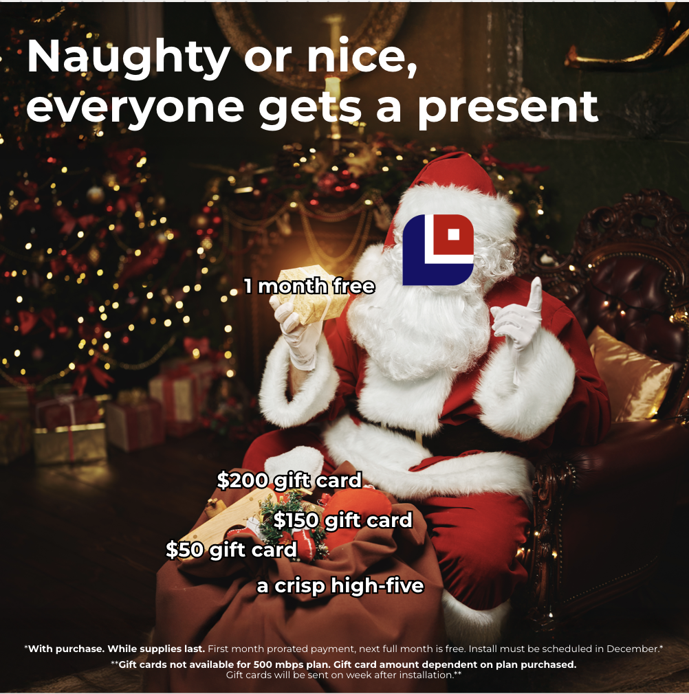 LiveOak Fiber creative: Holiday special post