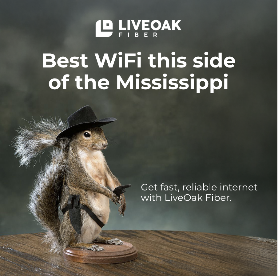 LiveOak Fiber creative: Taxidermy squirrel post
