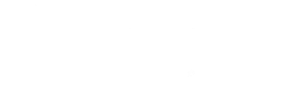 PepsiCo logo